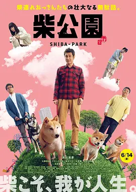 完结高清影视