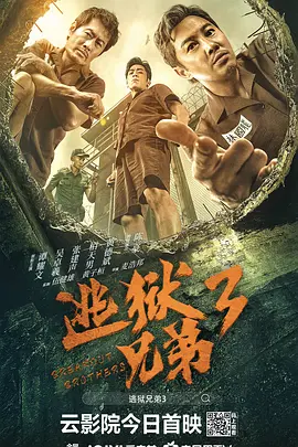 手机免费播放