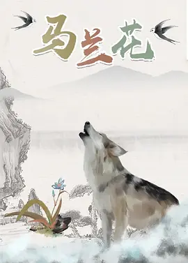 1080HD手机在线观看