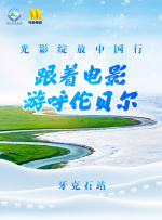 HD手机免费观看完整